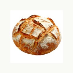 PAN MASA MADRE 