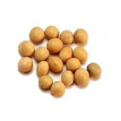 POROTO SOJA ORGANICO "NATURALEZA VIVA"