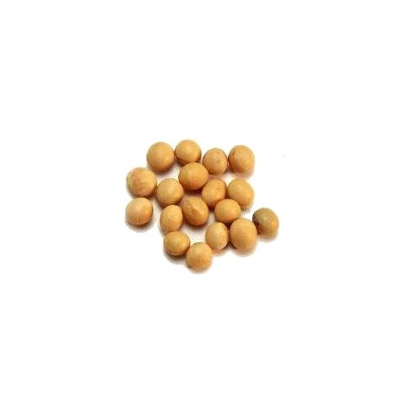 POROTO SOJA ORGANICO "NATURALEZA VIVA"