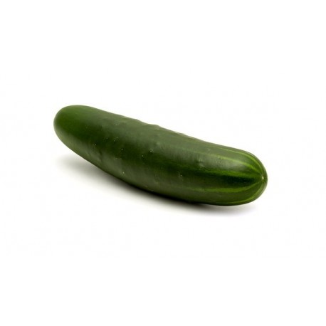 PEPINO VERDE