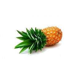 ANANA 1U