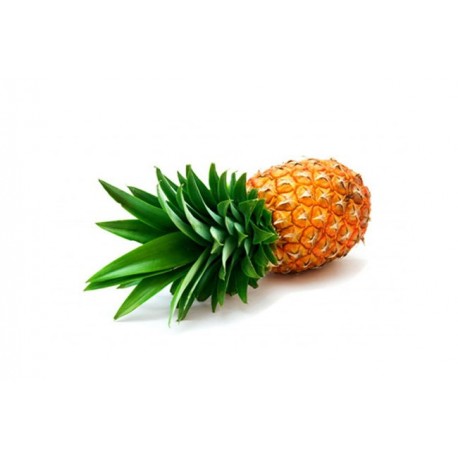 ANANA 1U