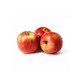 MANZANA ROJA -RIO NEGRO