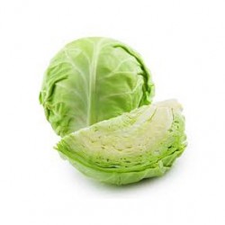 REPOLLO