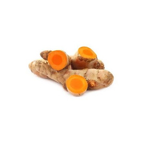 CURCUMA FRESCA 100G - Ital Organico