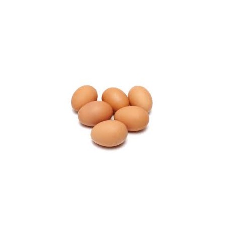 HUEVOS DE CAMPO DOCENA