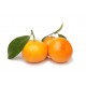 MANDARINA
