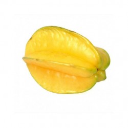 CARAMBOLA 1K
