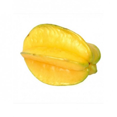 CARAMBOLA 1K