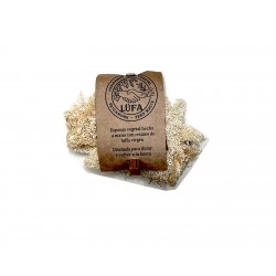 ESPONJA VEGETAL 10G