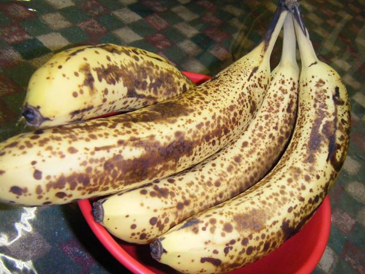 bananas.jpg